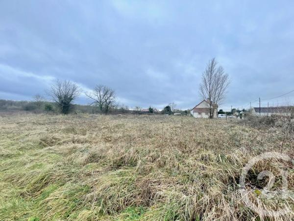 Terrain à vendre  6804 m 2   VILLEFRANCHE SUR CHER  - 41