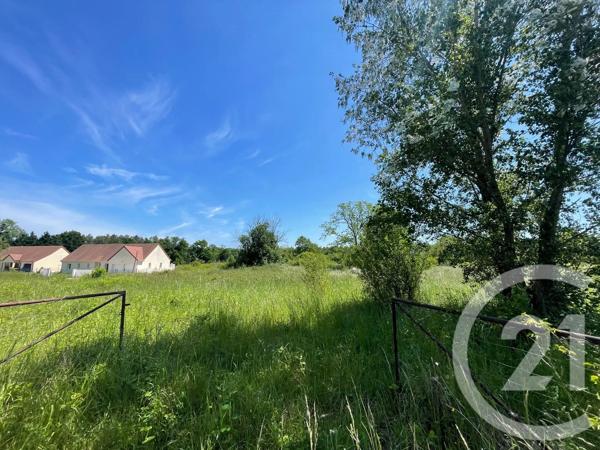 Terrain à vendre  6804 m 2   VILLEFRANCHE SUR CHER  - 41