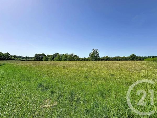 Terrain à vendre  6804 m 2   VILLEFRANCHE SUR CHER  - 41