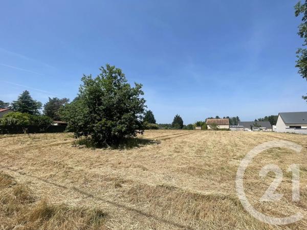 Terrain à vendre  6804 m 2   VILLEFRANCHE SUR CHER  - 41