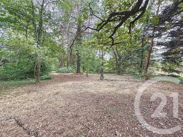 Terrain à vendre  6804 m 2   VILLEFRANCHE SUR CHER  - 41