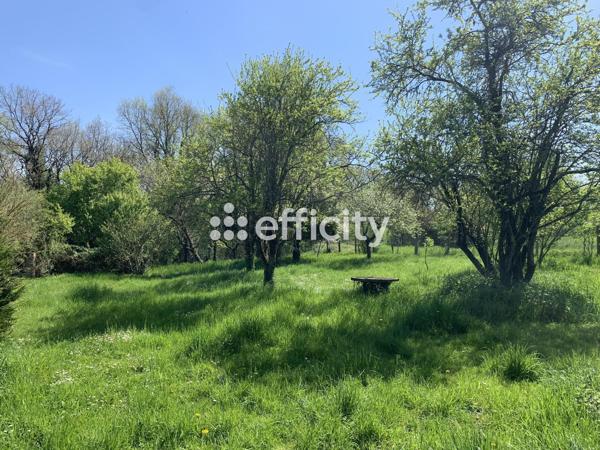 Maison 4 pièces - 136 m²