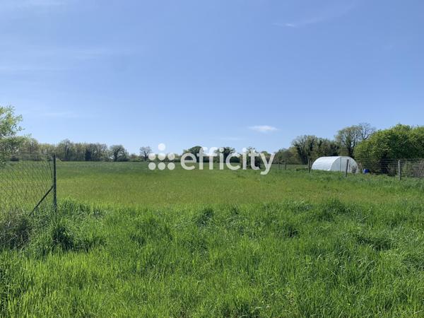 Maison 4 pièces - 136 m²