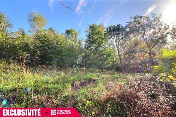 EXCLUSIVITE : Maison plain pied T7 -154m² - PISCINE - Terrain de 4000m² / 5 chambres+1 bureau  / MALEMORT