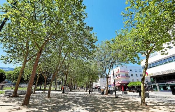 Lorient, Le Moustoir – Studio 20m2 Meublé Loué & Opportunité D’Investissement