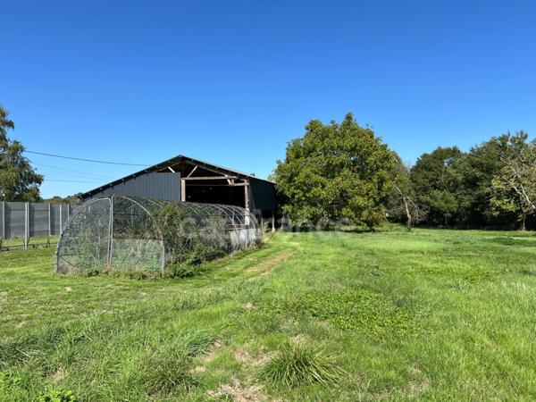 Hangar de 267 m² transformable en habitation sur 6 813 m² - Fort potentiel - Chevanceaux (17)