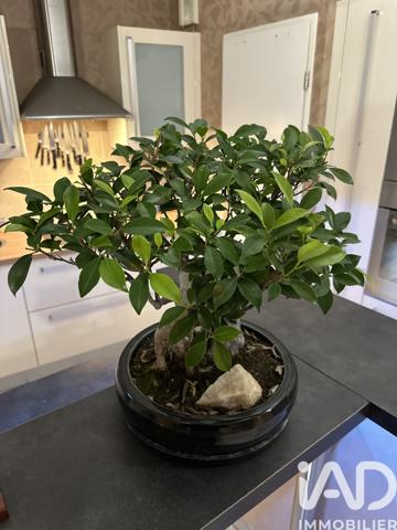 Appartement à vendre 3 pièces 69 m² Déville-lès-Rouen