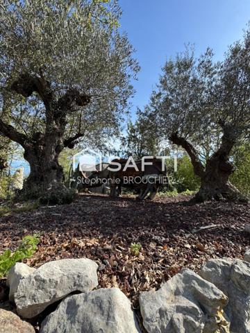 Maison ossature bois pleine nature