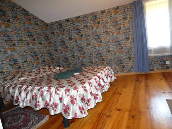 Grande maison de 260M², 7 chambres avec salle d'eau et wc, 2 cuisines, jardin et piscine hors sol