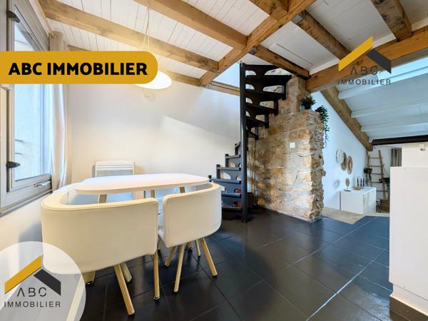 Orange (84100) SUPERBE APPARTEMENT MEUBLE NICHÉ SOUS LES TOITS - 1 CHAMBRE - CENTRE-VILLE D’ORANGE