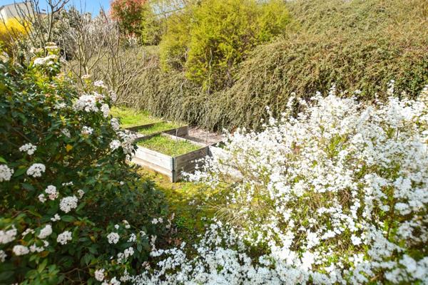 Maison d'habitation +deux appartements locatifs avec terrain de 2455 m2