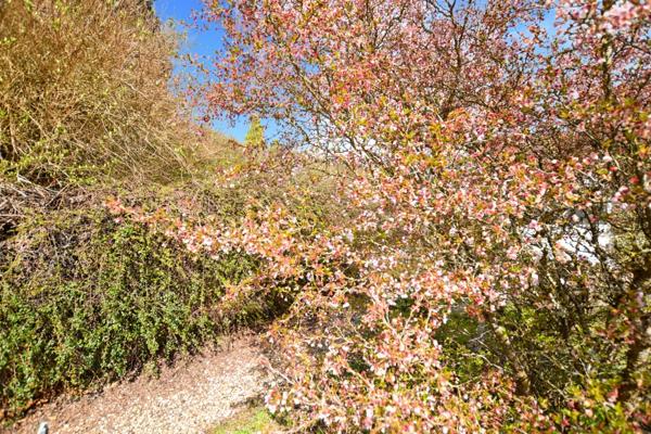 Maison d'habitation +deux appartements locatifs avec terrain de 2455 m2