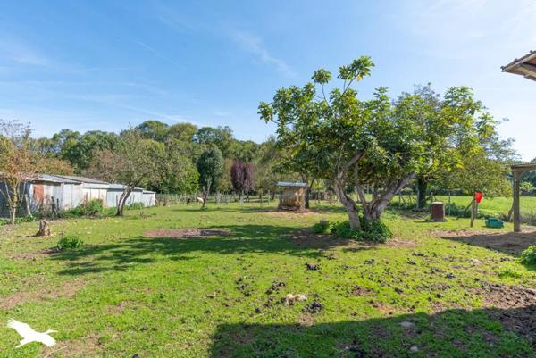 Maison à vendre |  Saint-Plancard |  10 pièces | 259 m²