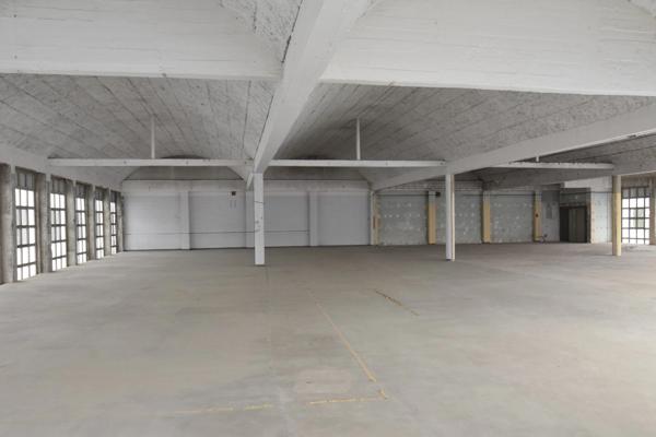 centre d'activité de "bien etre", plateau à aménager, garages. surface 1800m².