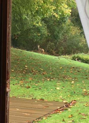 Maison familiale sur Saint-Agathon
