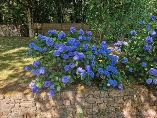 Vente Moulin Guingamp 11 Pièces 261 m²
