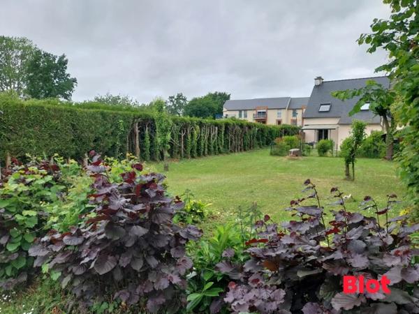 Terrain 466m²