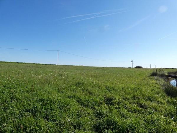 À vendre - Terrain projet construction 4489 m² situé à Samaran (32140)