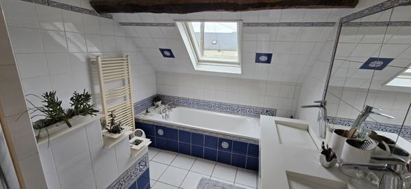 10mn à peine de CHARTRES - BELLE PROPRIÉTÉ D'ARTISTE plein coeur de la Vallée de l'Eure