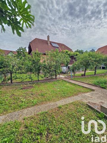Maison 5 pièces de 119 m² à Obernai (67210)