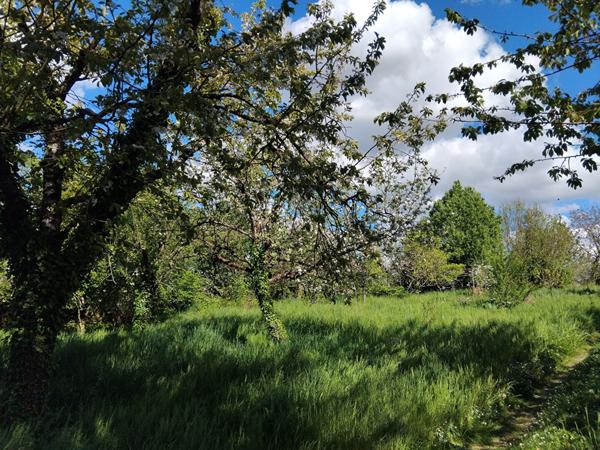 Longère à rénover 