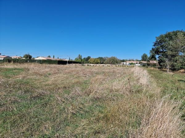 Terrain de 1190m² raccordé au tout à l' égout  à Saint  Sulpice la pointe proche du centre ville.