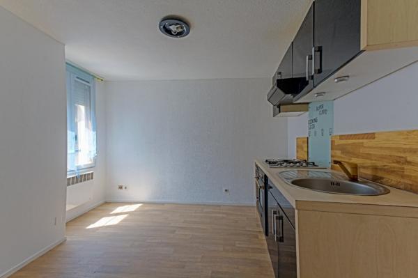 Meublé : Appartement RDC T2 53 m² + terrasse sud
