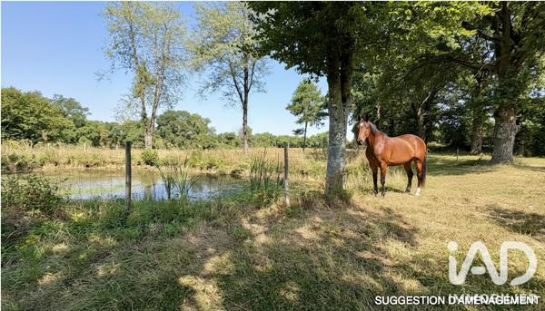 Maison (prestige) à vendre 7 pièces 277 m² Mouazé