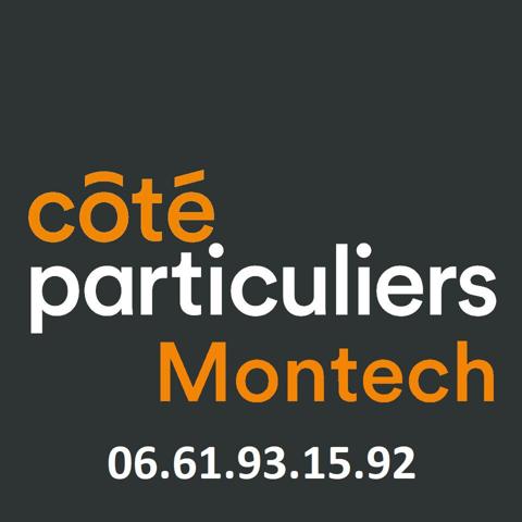 Vente
                Appartement38,84 m² - 2 Pièces -
                    CASTELNAU D ESTRETEFONDS (31620)