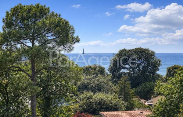 Appartement 3 pièces Vue mer et pins