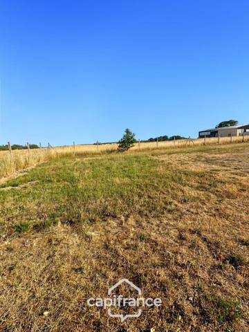 Local/bureau à vendre de 480 m2 sur 4027 m2 de terrain