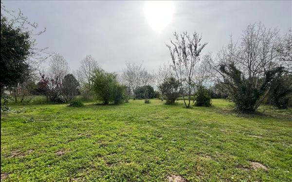 Terrain à vendre |  Montauban |  1900 m²