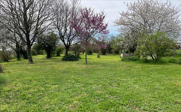 Terrain à vendre |  Montauban |  1900 m²