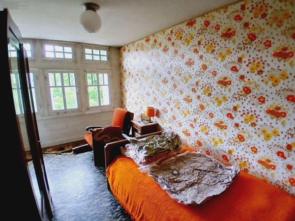 Maison à restaurer à vendre à Égletons en Corrèze (19300), ref : 10803/116