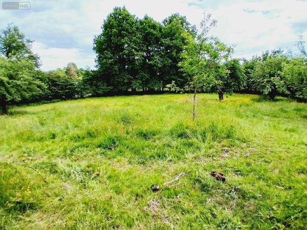 Maison à restaurer à vendre à Égletons en Corrèze (19300), ref : 10803/116