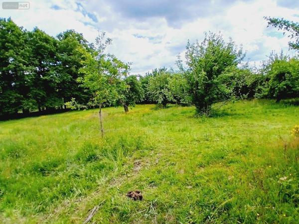 Maison à restaurer à vendre à Égletons en Corrèze (19300), ref : 10803/116