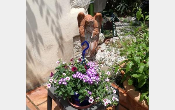 Vente Villa avec piscine et ateliers Montbazin   