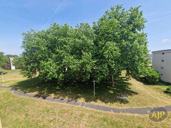 Vente appartement Biscarrosse : 125 190 € - AJP Immobilier Biscarrosse
