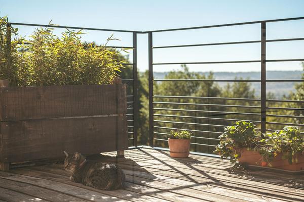 Maison d’architecte en forêt de Saint Astier