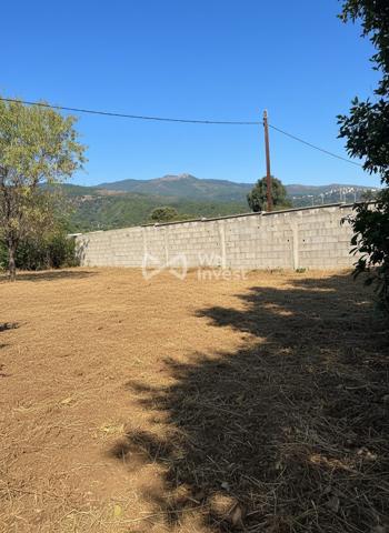 SECTEUR ÉCONOMIQUE, LUCCIANA (HAUTE-CORSE)