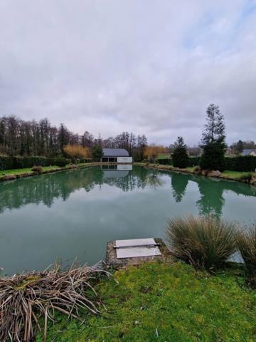 Vente                                                      Terrain
                        
                                         9231 m2                     à Houry