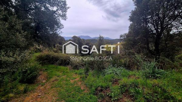 BISINAO, TERRAIN A BATIR VIABILISE DE 3 800 m2