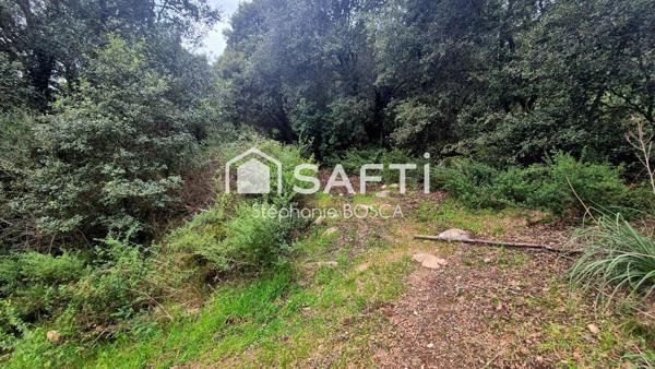 BISINAO, TERRAIN A BATIR VIABILISE DE 3 800 m2