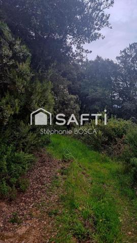 BISINAO, TERRAIN A BATIR VIABILISE DE 3 800 m2