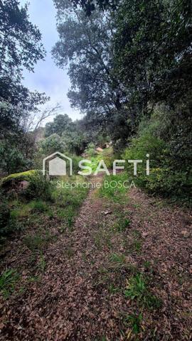 BISINAO, TERRAIN A BATIR VIABILISE DE 3 800 m2