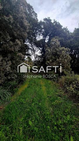 BISINAO, TERRAIN A BATIR VIABILISE DE 3 800 m2