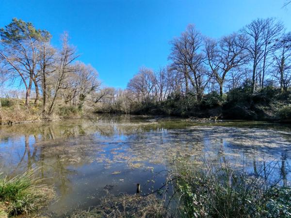 Maisons idéal grande famille ou locatif 12 MINUTES DE DAX