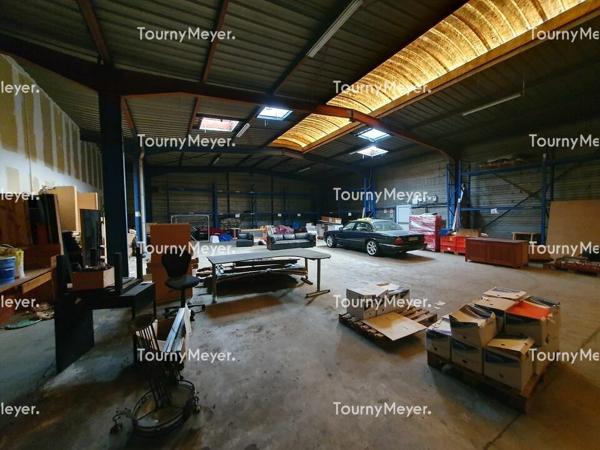 ENSEMBLE DE DEUX BATIMENTS D'ACTIVITES A VENDRE - SAINT LOUBES
