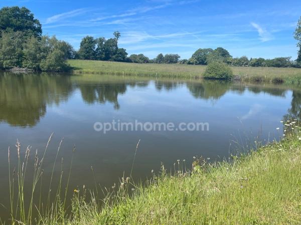 Maison, étang, dépendances, jardin  sur 8853 m2 de parcelle