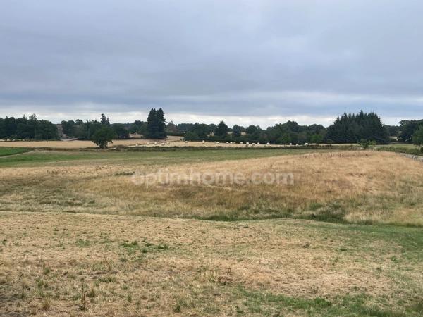 Maison, étang, dépendances, jardin  sur 8853 m2 de parcelle